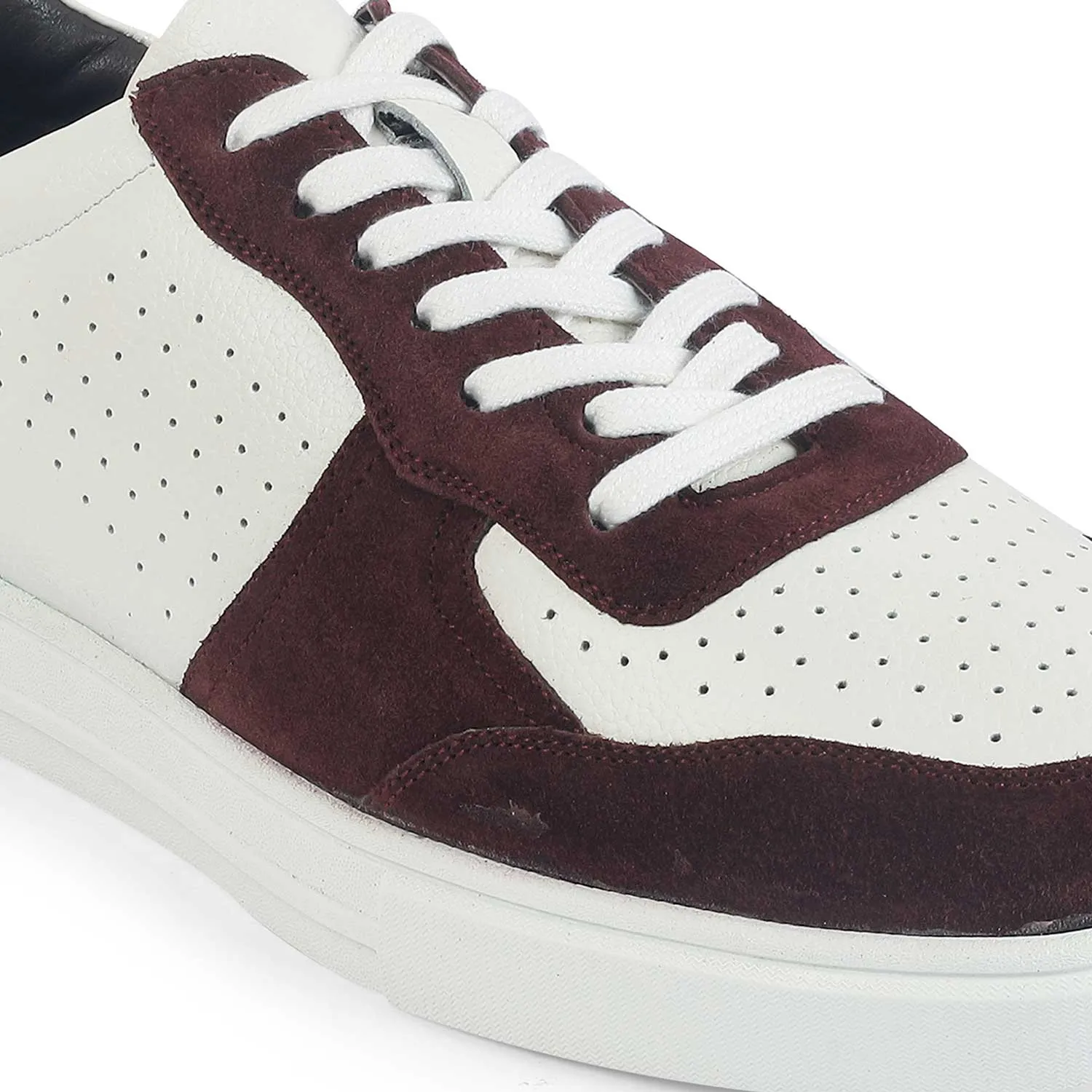 Tresmode Poland Maroon Men's Sneakers